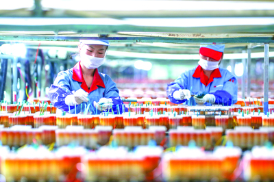 扬帆远航风正劲 技术开发的浪潮与未来