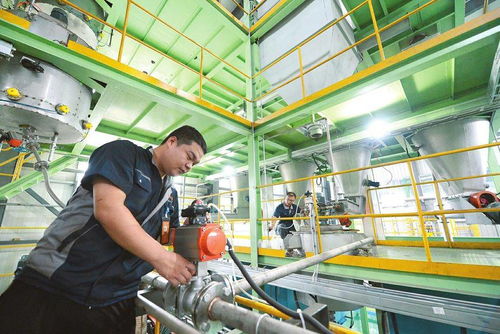 埋头苦干 转型发展 技术开发的新里程