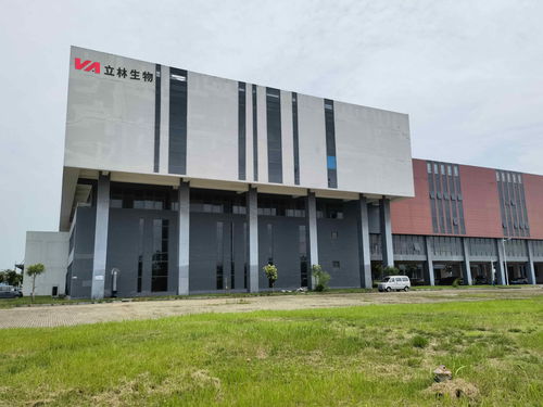 双品牌战略驱动，双厂布局夯实根基 盖夫内外贸并举，技术开发引领全球化新篇章